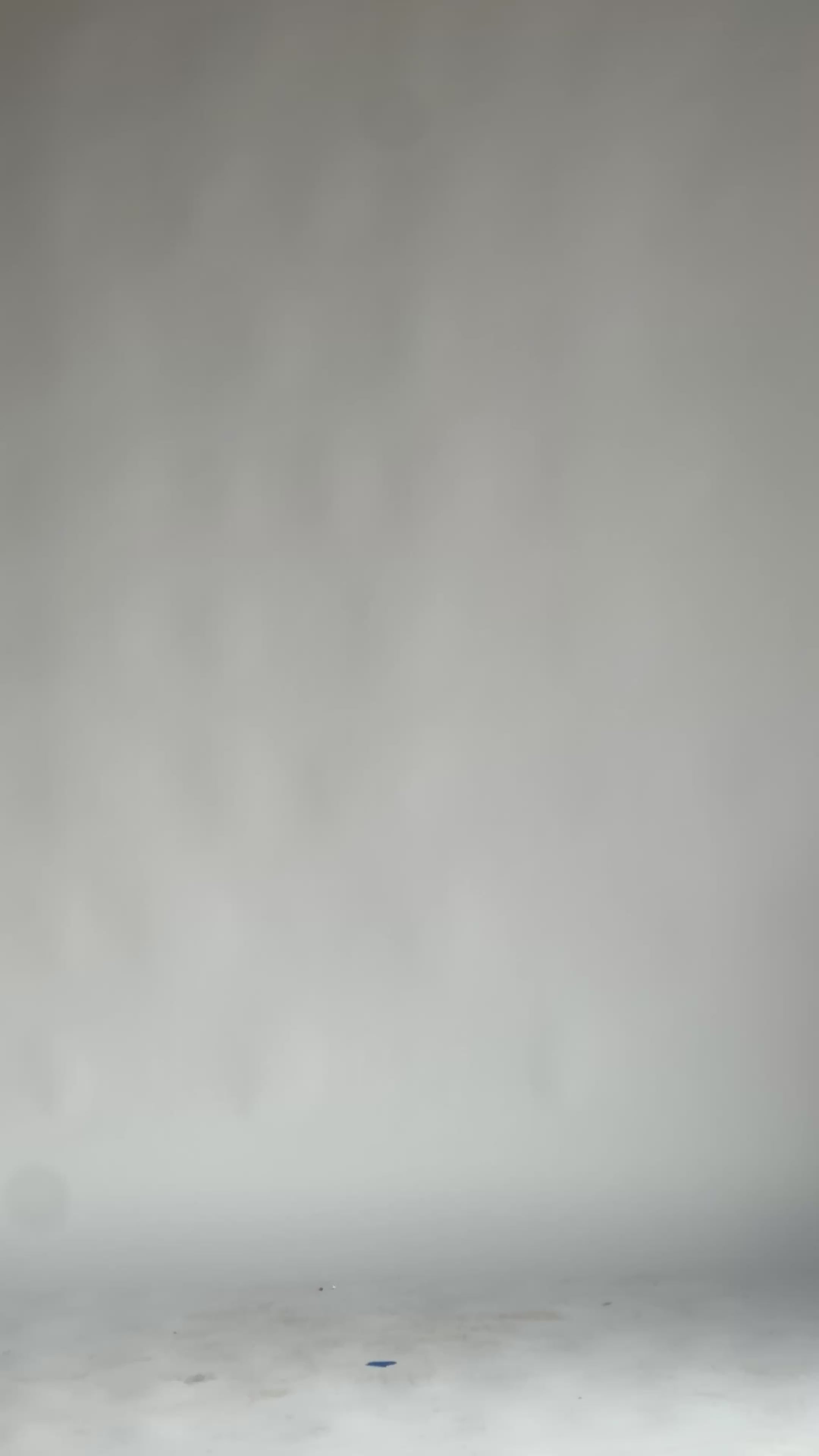 O.S.E Womens 2 Pack Tank Tops