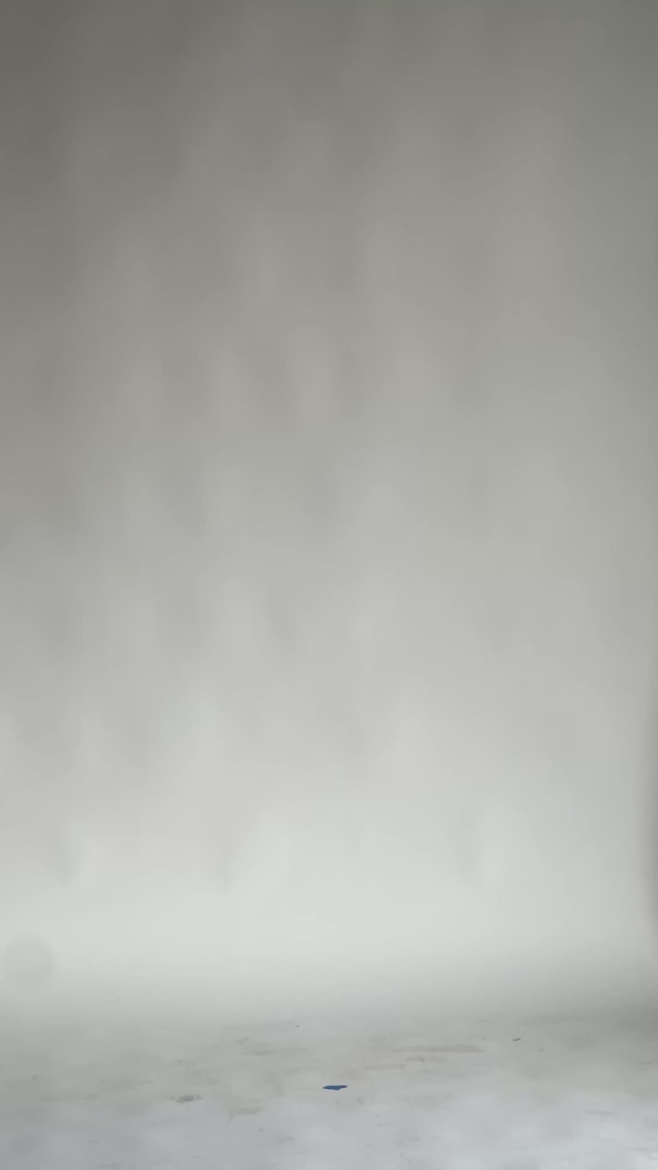 O.S.E 'Black' Boxy Tee