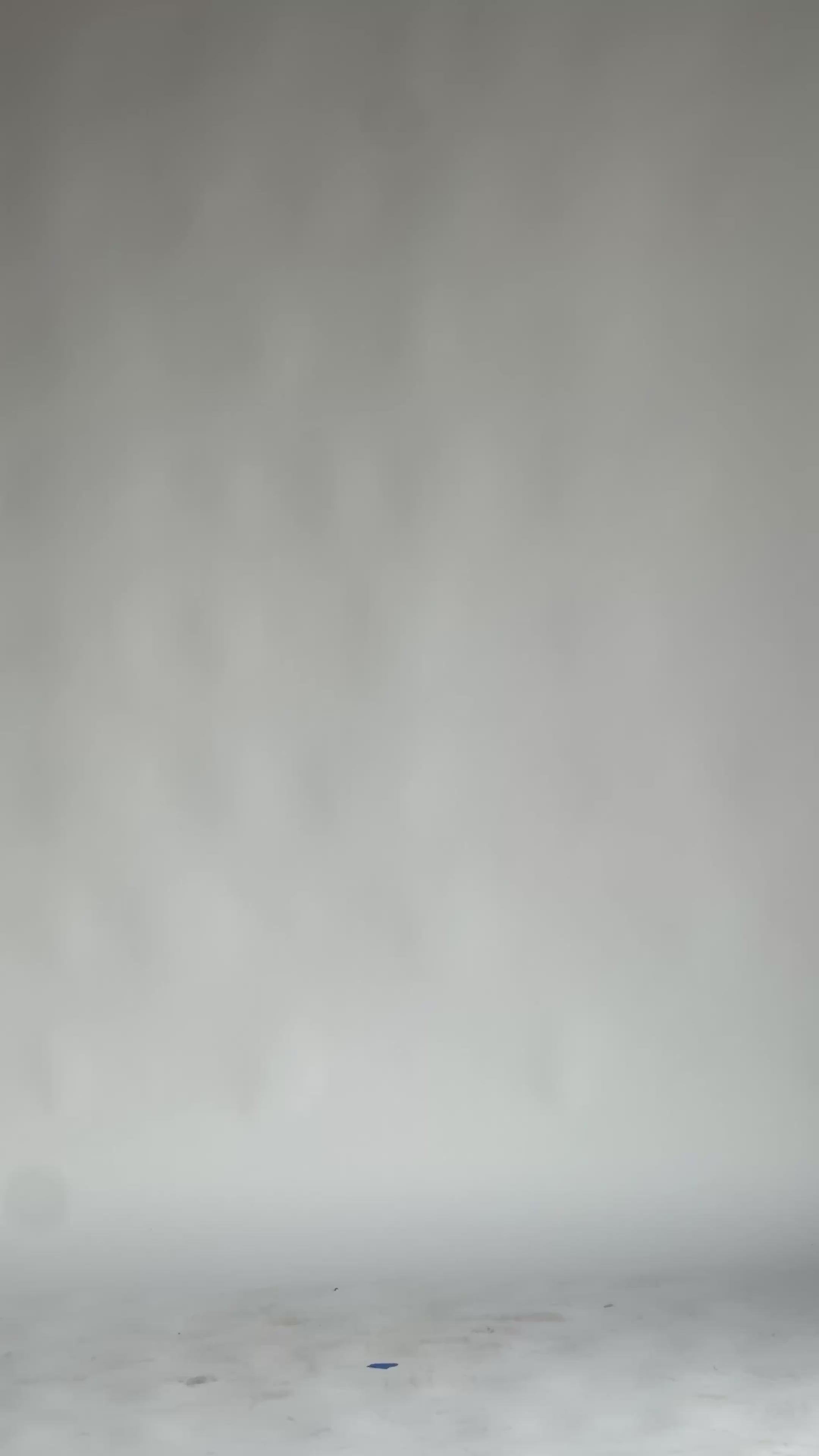 O.S.E 'White' Daily Tee